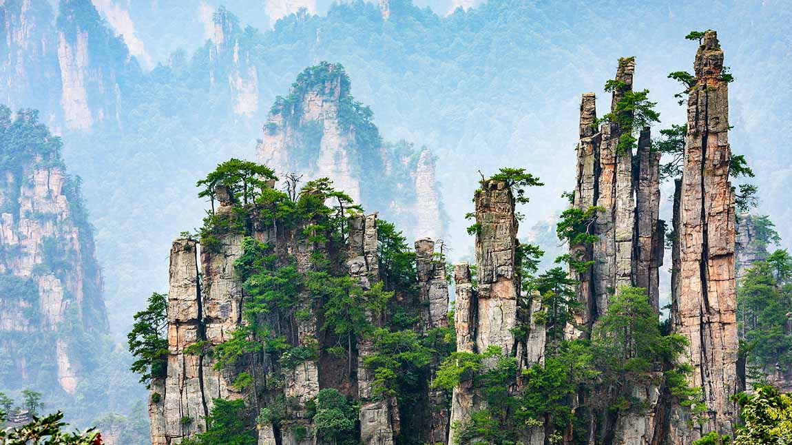 School of fish swimming together in the ocean