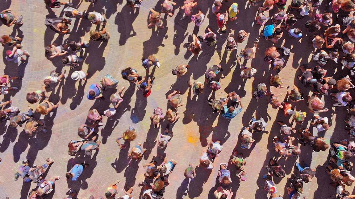 School of fish swimming together in the ocean