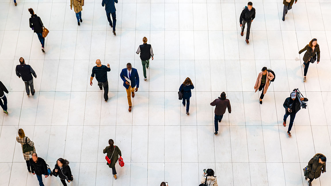 School of fish swimming together in the ocean