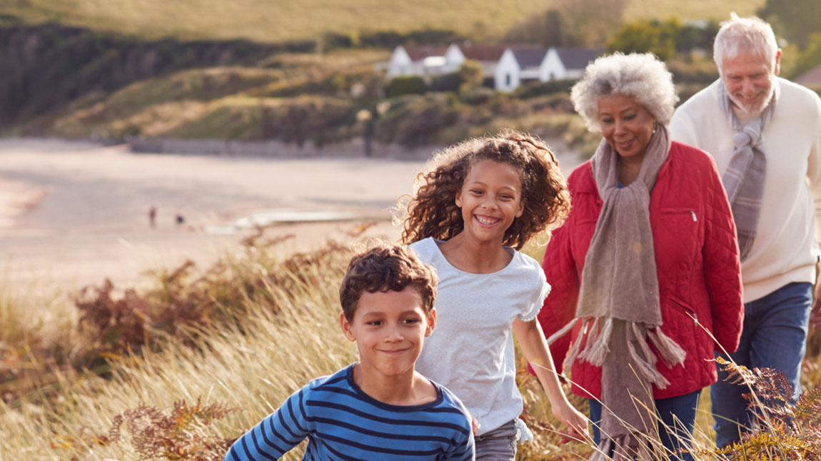 School of fish swimming together in the ocean